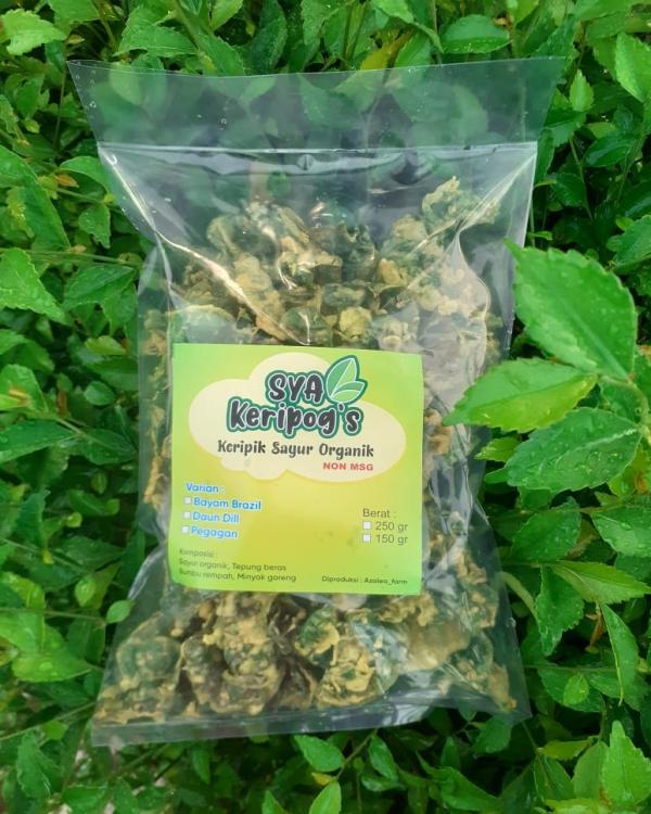Keripik Sayur Organik