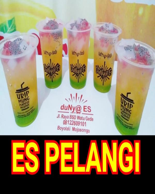 Es Pelangi